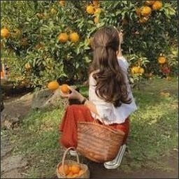 bedsolelie95161's profile picture. Pursue your own happiness.