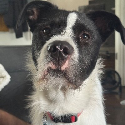 Gwennie915's profile picture. 