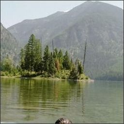 norgartvec95737's profile picture. Small things make big dreams come true.