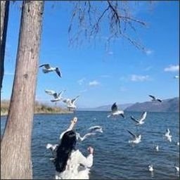 jahangraci29336's profile picture. Give yourself a smile.