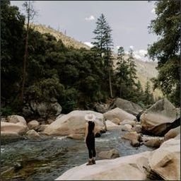 sheakley9369083's profile picture. Every sunrise brings new hope.