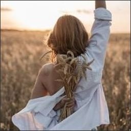 meidellpej97270's profile picture. Every sunrise brings new hope.