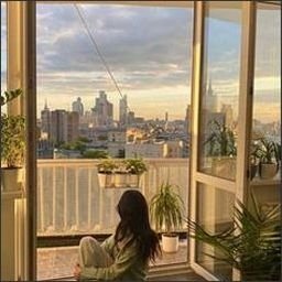 mignanelli74764's profile picture. Carry your dreams and move forward courageously.