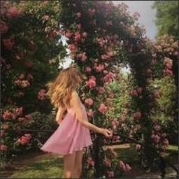 tolimalstr17732's profile picture. A dream begins with a courageous first step.