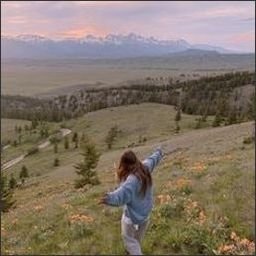 holmlund3585602's profile picture. Chase stories of light and shadow.