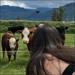 gerrellmal22625's profile picture. Give yourself a smile.
