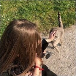 bakewell1672611's profile picture. Bravely pursue your dreams.