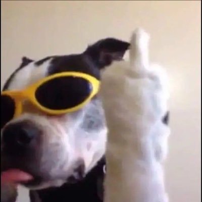 z3phir0's profile picture. por amor as causas perdidas