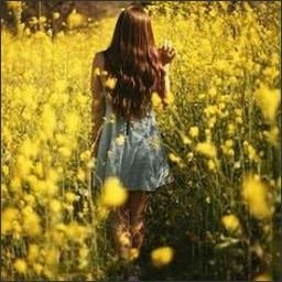 carnicom2413740's profile picture. Every day is a new possibility.