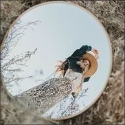 eulahklips28219's profile picture. Every day is a new possibility.