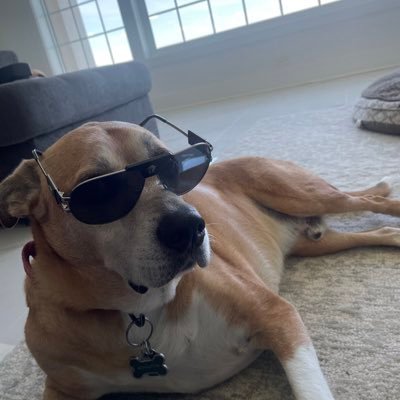MaximZiatdinov's profile picture. I use artificial intelligence to boldly go where no human has gone before in experimental sciences. Opinions are my own, but please don’t hold them against me.
