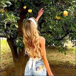 samadani5719605's profile picture. Persistence is victory.