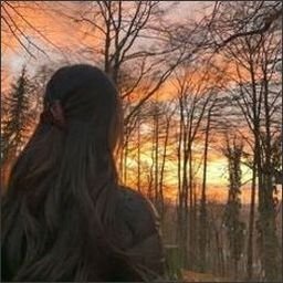 vernolafeg6629's profile picture. Make your dreams come true.