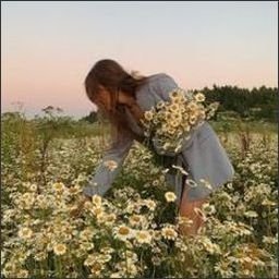 mangelshun96467's profile picture. Keep moving forward, and the future is bright.