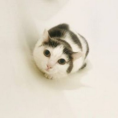 nio150870139255's profile picture. 