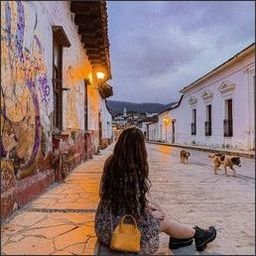 ackerson4254686's profile picture. Carry your dreams and move forward courageously.