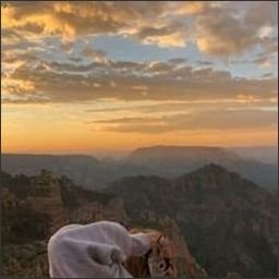 isdellmccu71094's profile picture. Do what you love and love what you do.