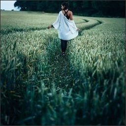rinivohlan69112's profile picture. Feel the beauty of life with your heart.
