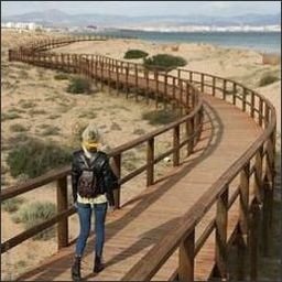sheplerkeu41417's profile picture. Passion ignites dreams.