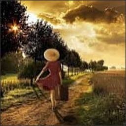 parentihg425428's profile picture. Let your dreams shine in your heart.