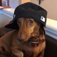 vibes minha (@vibesminha) 's Twitter Profile Photo