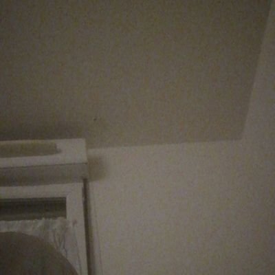 RomainRoma50879's profile picture. 