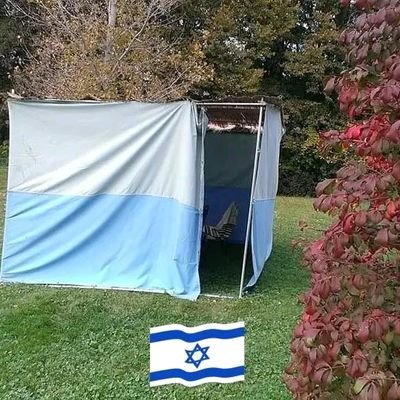 HalfCourtMikeD's profile picture. Praying for shalom in Yerushalayim, Psalm 122:6-8.
Praying for a 3rd  Temple in Yerushalayim.
