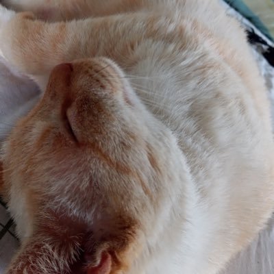 theOthinn's profile picture. 