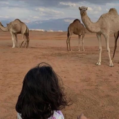 _73_xx's profile picture. اللهمّ حبّك ودرباً مُزهِراً بلُِطفك 🍃