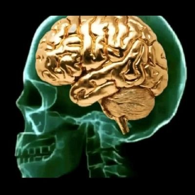 Didymus1234's profile picture. Neurosurgery et el