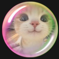 SoftieSophie🌸 (@vibewithsoph) 's Twitter Profile