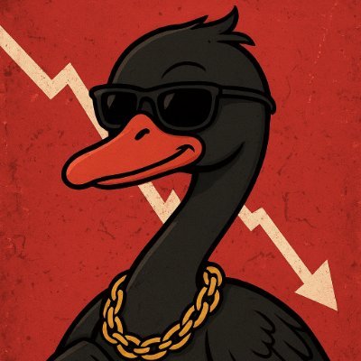 Swanny_SOL's profile picture. Trust the vibes, not the charts.