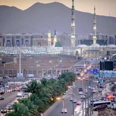 mzs1101's profile picture. 