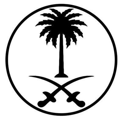 TurkiAlaswad's profile picture. 