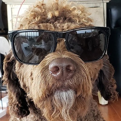 HTouart36688's profile picture. 