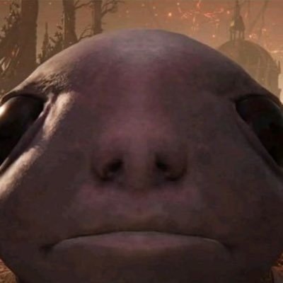 Raid4774952's profile picture. 