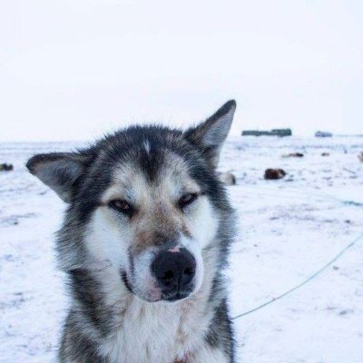 4ct12wz's profile picture. https://t.co/f1n7fr7kqs