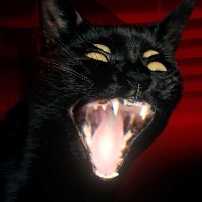 k0tenozlo_'s profile picture. READ MY VIEW MORE × rusty/spooky × they/gutz × 19 × PROSHIP/NEU DNI × one piece artist × ♿️ × rarepair ceo of optwt × selective killer yume 🌐🐈‍⬛×🌐xANY + 📺☎️