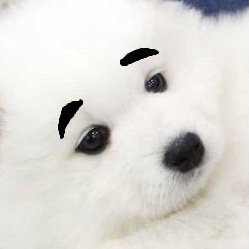 @kimpam722