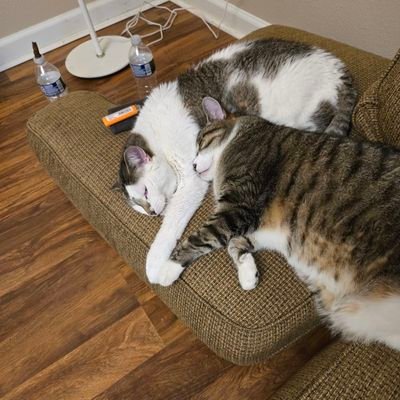 Thaforgott69's profile picture. 