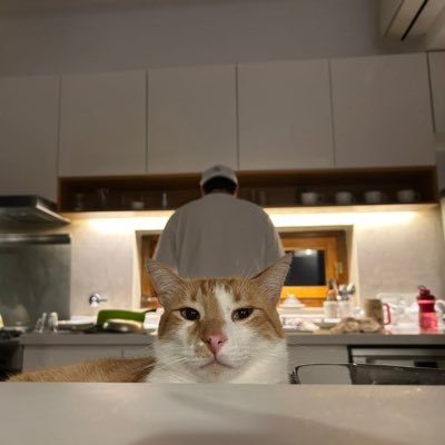 tomitobio_'s profile picture. la diferencia entre una obsesion y una pasion es que la primera dura toda la vida