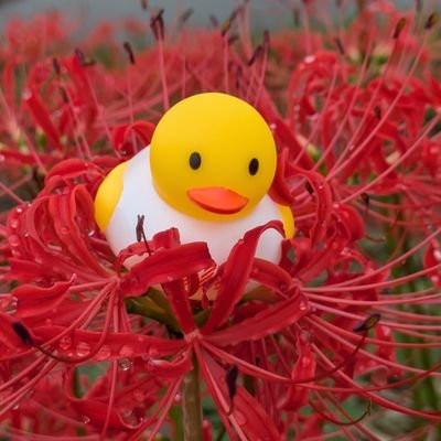 YPGpor's profile picture. ポルノグラフィティが好き/出戻りラバッパー/ONE OK ROCKも好き/のんびり活動/雑多垢/FCUW6参加します😊