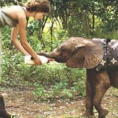 GenesisofJesus's profile picture. 