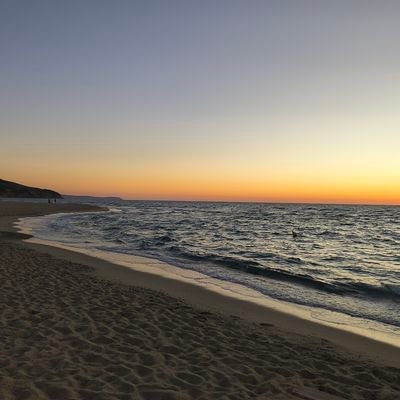 Giovannang4452's profile picture. 