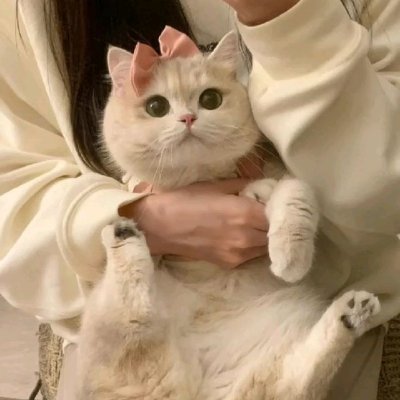 Assa2020H's profile picture. The only way to do great work is to love what you do.