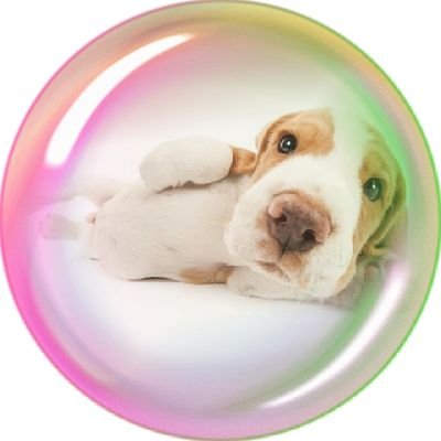 intooari's profile picture. 