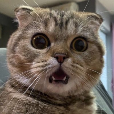 myou_niverse's profile picture. Cuenta de fan BTS 아포방포 🪷 BTS is 7