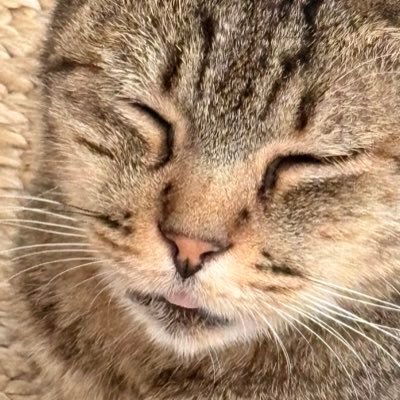 dlrltn_'s profile picture. başlangıçta kaos vardı