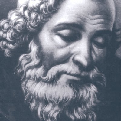 foalsi's profile picture. /||||||