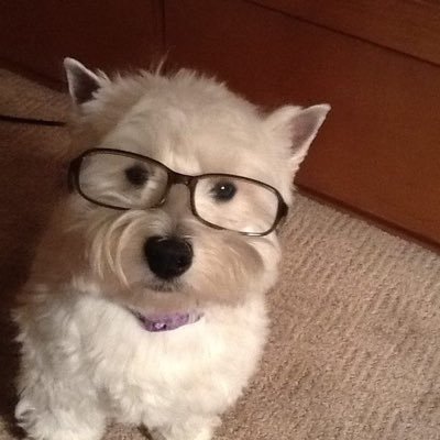 geeoniii's profile picture. 